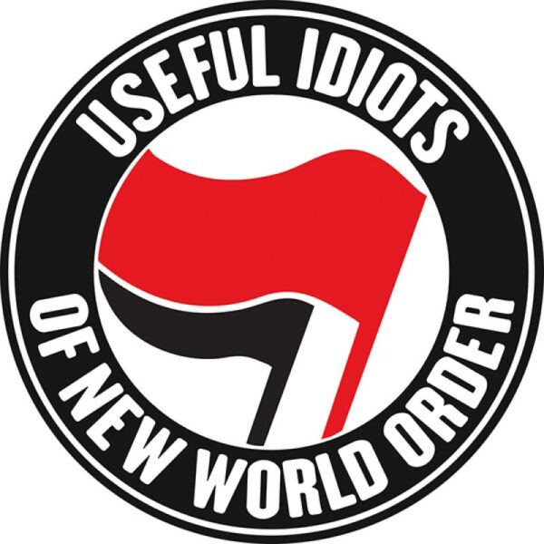 Aufkleber Useful Idiots of New World Order